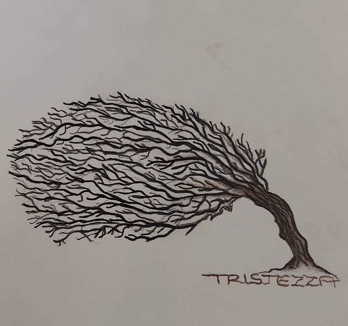 Classe prima- albero sentimento